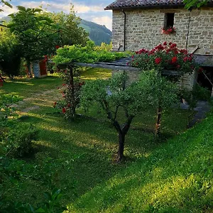 Marzanella Tredozio
